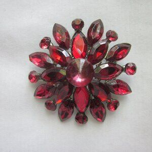 Red jeweled pin